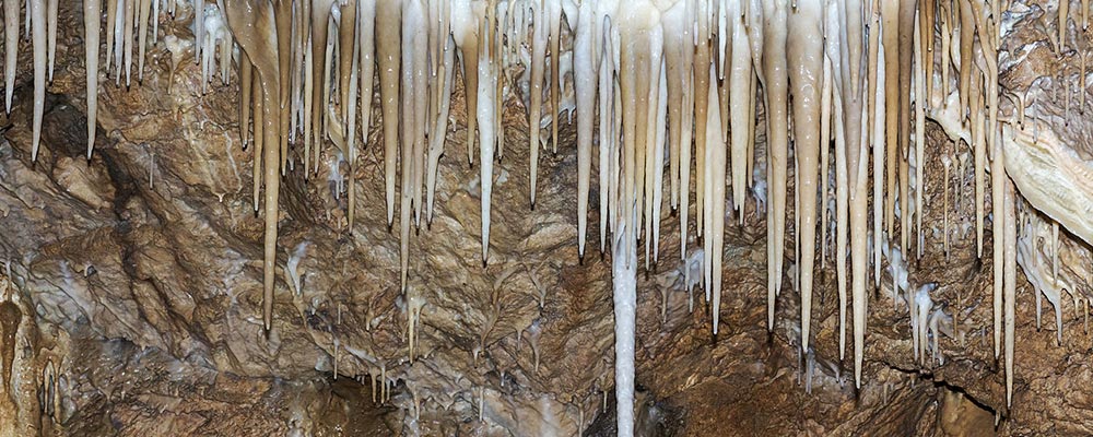 Jaskinia Niedźwiedzia w Kletnie - stalaktyty