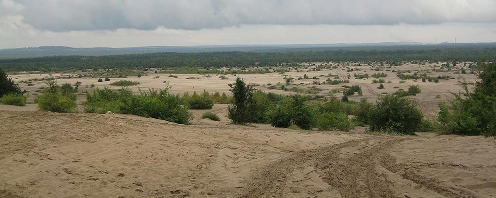 Pustynia Błędowska widziana z punktu widokowego na wschód od miejscowości Chechło